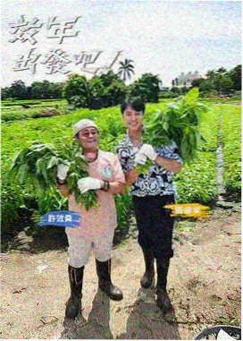 qq影视综艺手账舞台侧的三十秒侧幕贴纸